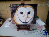 Wildlife - Barn Owl - Watercolour